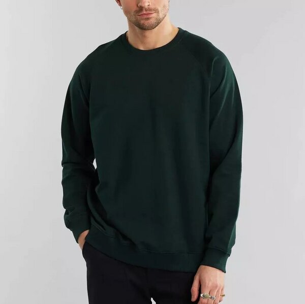 DEDICATED Sweatshirt Malmoe Base von Dedicated