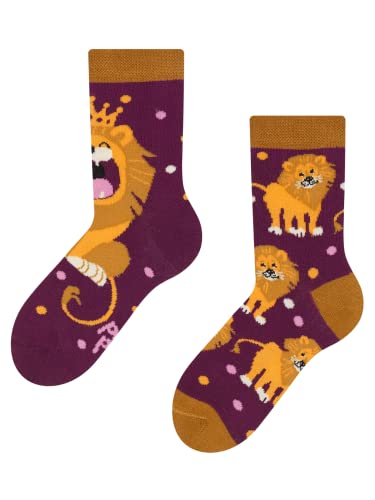 Dedoles Socken Kinder Mädchen Jungen Baumwolle viele lustige Designs Weihnachtssocken 1 Paar Tiger Frosch, Farbe Mehrfarbig, Motiv König des Dschungels, Gr. 31-34 von Dedoles