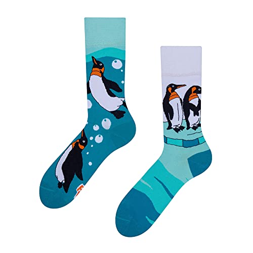 Dedoles Socken Regular normale Höhe Unisex Damen Herren Baumwolle viele lustige Designs Weihnachtssocken 1 Paar, Farbe Blau, Motiv Pinguine, Gr. 39-42 von Dedoles