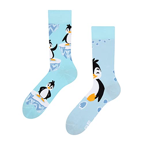 Dedoles Socken Regular normale Höhe Unisex Damen Herren Baumwolle viele lustige Designs Weihnachtssocken 1 Paar, Farbe Blau, Motiv Fröhlicher Pinguin, Gr. 39-42 von Dedoles