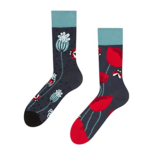 Dedoles Socken Regular normale Höhe Unisex Damen Herren Baumwolle viele lustige Designs Weihnachtssocken 1 Paar, Farbe Rot, Motiv Marienkäfer und Mohnblumen, Gr. 35-38 von Dedoles