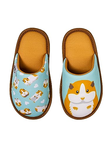 Dedoles Hausschuhe Damen Herren & Kinder Memory-Foam viele lustige Designs Einhorn Musik Regenbogen Comics Spiele Geschenk, Farbe: Meerschweinchen, Gr.: 28-29 EU von Dedoles