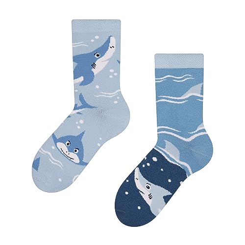 Dedoles Socken Kinder Mädchen Jungen Baumwolle viele lustige Designs Weihnachtssocken 1 Paar, Farbe Blau, Motiv Grauer Hai, Gr. 27-30 von Dedoles