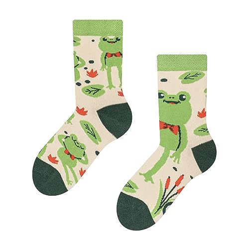 Dedoles Socken Kinder Mädchen Jungen Baumwolle viele lustige Designs Weihnachtssocken 1 Paar, Farbe Grün, Motiv Kleiner Frosch, Gr. 27-30 von Dedoles