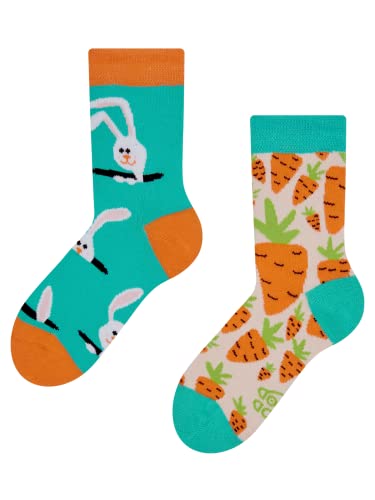 Dedoles Socken Kinder Mädchen Jungen Baumwolle viele lustige Designs Weihnachtssocken 1 Paar Tiger Frosch, Farbe Mehrfarbig, Motiv Kaninchen mit Karotten, Gr. 23-26 von Dedoles