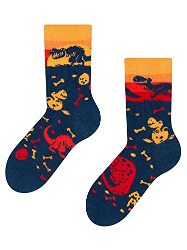 Dedoles Socken Kinder Mädchen Jungen Baumwolle viele lustige Designs Weihnachtssocken 1 Paar Tiger Frosch, Farbe Mehrfarbig, Motiv Welt der Dinosaurier, Gr. 27-30 von Dedoles