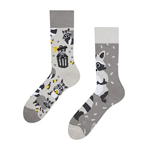 Dedoles Socken Regular normale Höhe Unisex Damen Herren Baumwolle viele lustige Designs Weihnachtssocken 1 Paar, Farbe Grau, Motiv Waschbär, Gr. 39-42 von Dedoles