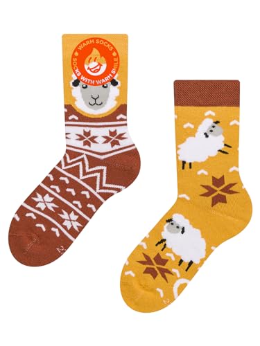 Dedoles Socken Unisex Damen Herren & Kinder Baumwolle viele lustige Designs 1 Paar Geschenk links rechts verschieden, Farbe Orange, Motiv Schaf im Pullover Wärmesocken, Gr. 39-42 von Dedoles