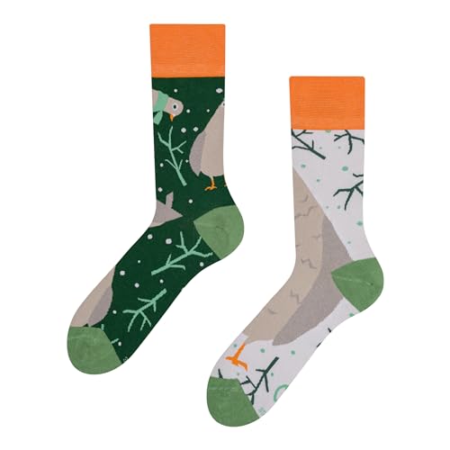 Dedoles Socken Regular normale Höhe Unisex Damen Herren Baumwolle viele lustige Designs Weihnachtssocken 1 Paar, Farbe Grün, Motiv Taube, Gr. 39-42 von Dedoles