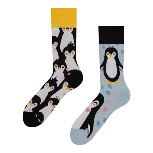 Dedoles Socken Regular normale Höhe Unisex Damen Herren Baumwolle viele lustige Designs Weihnachtssocken 1 Paar, Farbe Schwarz, Motiv Winterpinguin, Gr. 35-38 von Dedoles