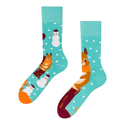 Dedoles Socken Unisex Damen Herren & Kinder Baumwolle viele lustige Designs 1 Paar Geschenk links rechts verschieden, Farbe: Türkis, Motiv: Wintereichhörnchen (Wärmesocken), Gr. 27-30 von Dedoles