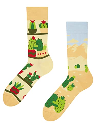 Dedoles Socken Regular normale Höhe Unisex Damen Herren Baumwolle viele lustige Designs Weihnachtssocken 1 Paar, Farbe Beige, Motiv Kaktusliebe, Gr. 39-42 von Dedoles