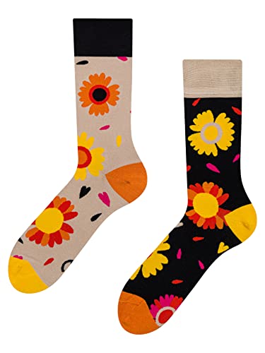 Dedoles Socken Regular normale Höhe Unisex Damen Herren Baumwolle viele lustige Designs Weihnachtssocken, Farbe Mehrfarbig, Motiv Liebt mich, liebt mich nicht, Gr. 39-42 von Dedoles