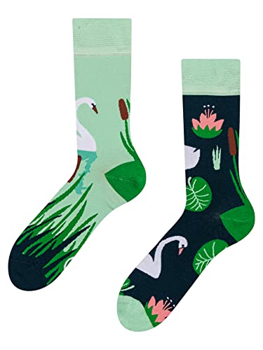 Dedoles Socken Regular normale Höhe Unisex Damen Herren Baumwolle viele lustige Designs Weihnachtssocken 1 Paar, Farbe Grün, Motiv Weißer Schwan, Gr. 43-46 von Dedoles