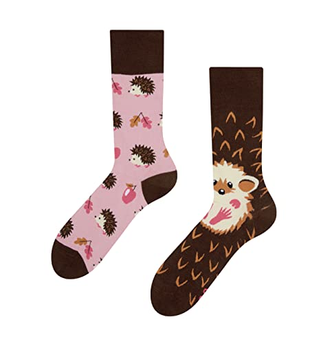 Dedoles Socken Regular normale Höhe Unisex Damen Herren Baumwolle viele lustige Designs Weihnachtssocken 1 Paar, Farbe Rosa, Motiv Igel, Gr. 39-42 von Dedoles