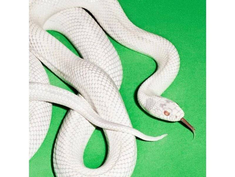 Deftones private music LP multicolor von Deftones