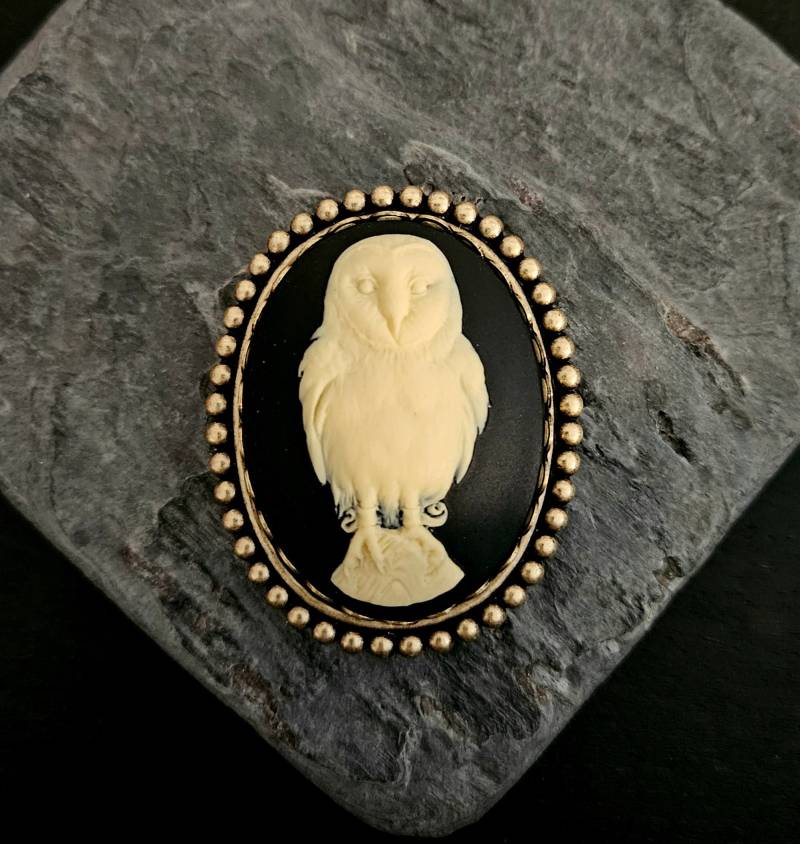 Eule Cameo Brosche, Schleiereulen Vogel Tier Urlaub Geschenkideen, Geschenkideen Für Mama, Einzigartiges Weihnachtsgeschenk von DelicateIndustry1