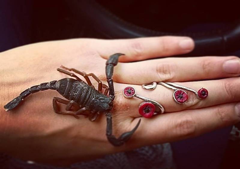 sterling Silber Ring Mit Mohnblumen, Polymer Ton Ring, Handgemachter Roter Geschenk Für Sie sterling Silber Ring Mit Mohnblumen, Polymer Ton Ring, Handgemachter Roter Geschenk Für Sie von DenadasHandmade