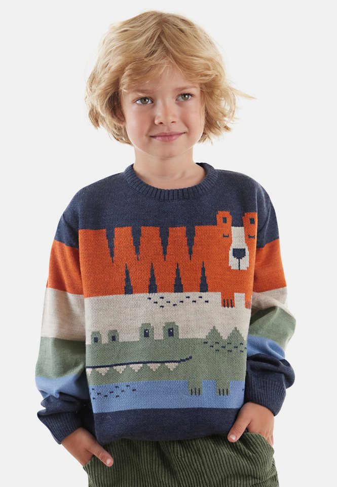 Denokids Rundhalspullover Animals (1-tlg) im Farbblock-Look von Denokids