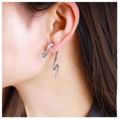 Dervivea Vintage Schlangenohrstecker Ohrringe Punk Schlange Ohrringe Schlange Vorne Hinten Ohrringe Silber Schlange Ohrstecker Schmuck Für Frauen Und Mädchen von Dervivea