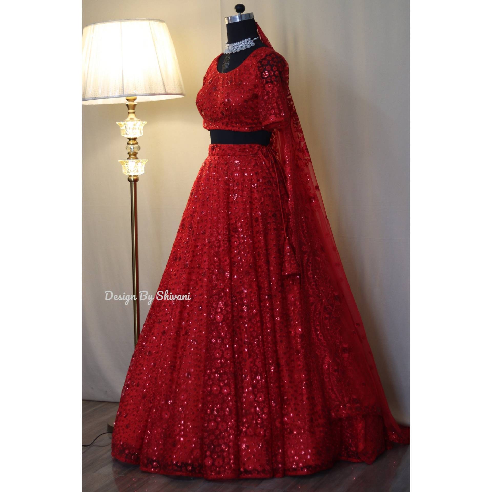 Roter Priyanka Chopra Lehenga/Lehenga/Braut-Lehenga, Blutroter Lehenga/Frauen-Lehenga/Zeremonie-Lehenga von DesignByShivani