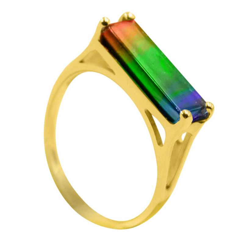 Ammolit Ring Natur Rechteck Aaa 3 Farben in 14K Gold Gefasst von DesignedbyEllens