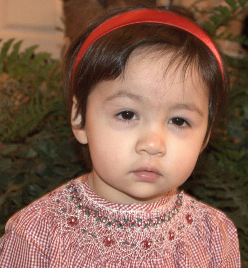 Handgemockt 100% Seide Taft Weihnachten Urlaub Besonderer Anlass Prinzessin Kleid Oder Pageant Blumenmädchen Handgemockt 100% Seide Taft Weihnachten Urlaub Besonderer Anlass Prinzessin Kleid Oder Pageant Blumenmädchen von DesignersNeeds