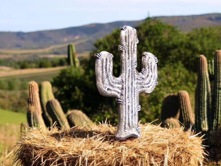 Southwestern Western Schmuck Silber Antiqued Kaktus Pin Brosche Cowgirl Rodeo Festival Geschenk Für Frau Mutter Ihre Wüste 11521 von DesignsByMaral