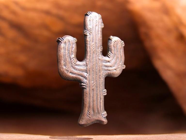 Western Southwestern Desert Schmuck Kaktus Brosche Pin Cactae Broschen Cowgirl Kupfer Antiqued Mutter Freundin Frau Ihr Geschenk Usa Made 11523 von DesignsByMaral