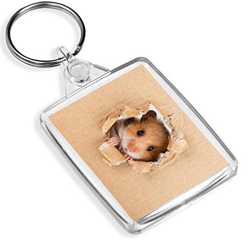 Destination Vinyl Keyrings Cheeky Hamster Schlüsselanhänger - IP02 - Nager Kinder Ratte Gerbil Mäuse 8521 von Destination Vinyl Keyrings