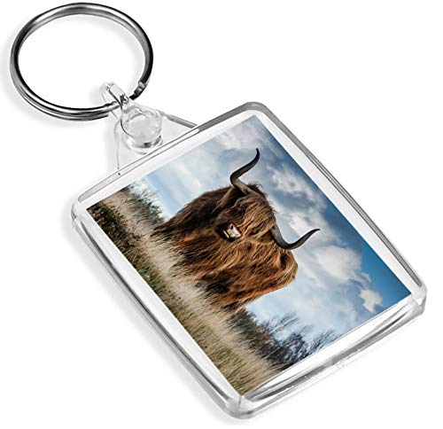 Destination Vinyl Keyrings Fluffy Hochland-Kuh Schlüsselanhänger Cattle Schottland Scottish Hairy Keyring Gift # 13165 von Destination Vinyl Keyrings