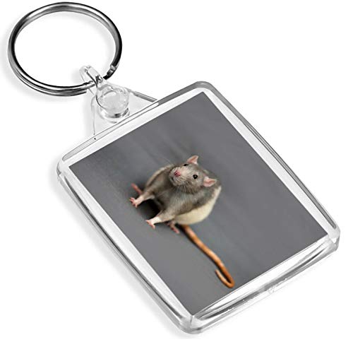 Destination Vinyl Keyrings Netter Fancy Ratte Schlüsselanhänger Haustier Ratten Nagetier-Mäusemäuse Cool Kinder Schlüsselanhänger Gift # 14158 von Destination Vinyl Keyrings