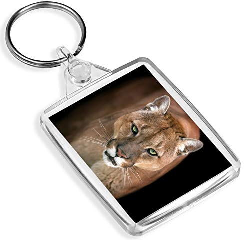 Puma-Puma-Schlüsselanhänger - IP02 - Grüne Augen Big Cat Lion wildes kühles Geschenk # 12655 von Destination Vinyl Keyrings