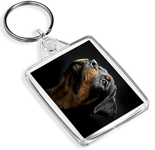 Schöner Rottweiler Schlüsselanhänger - IP02 - Hundewelpe Wache Rottie Hunde 8616 Schöner Rottweiler Schlüsselanhänger - IP02 - Hundewelpe Wache Rottie Hunde 8616 von Destination Vinyl Keyrings