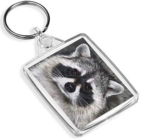 Ziel Vinyl Schlüsselanhänger Netter Waschbär Schlüsselanhänger Wild Animal Racoon amerikanische Cheeky Fun Schlüsselanhänger Gift # 14190 von Destination Vinyl Keyrings