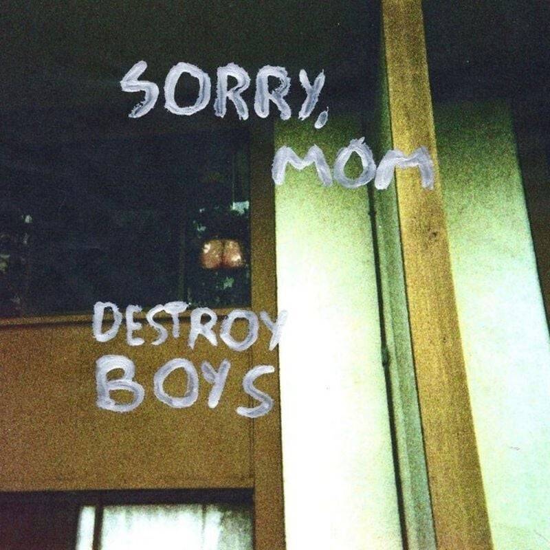 Sorry, Mom von Destroy Boys - LP (Standard) von Destroy Boys