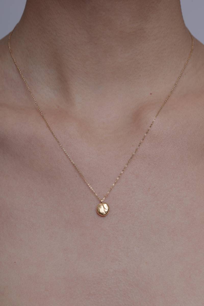 Lunaria Samen Anhänger 24Kt Vergoldete Bronze, Silberkette von DewDesignStore