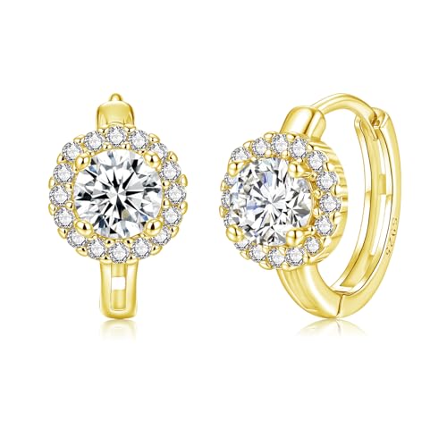 Deyanse Silber Creolen Damen 925, Sterling Silber Rund Ohrringe Creolen, Cubic Zirkonia Huggie Ohrringe für Frauen Mädchen, Klein Kreolen Silberohrringe 925, Hypoallergen Ohrschmuck mit Geschenk Box von Deyanse