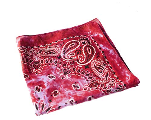 Dhobia Bandana Gesichtstuch Face Mask Kopftuch Halstuch 100% Baumwolle mit original Paisley Muster (Stone Wash 7) von DHOBIA