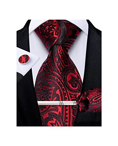 DiBanGu Herren Krawatte Taschentuch Seide Paisley Floral Krawatte Pocket Square Manschettenknöpfe Krawatte Clip Set, Paisleymuster, Rot und Blau, Einheitsgröße von DiBanGu