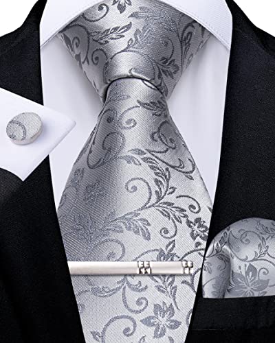 DiBanGu Herren Seide gewebte Krawatte Paisley Blumen Krawatte Set mit Einstecktuch Manschettenknöpfe Krawattenklammer für Hochzeit Business, silber, Einheitsgröße von DiBanGu