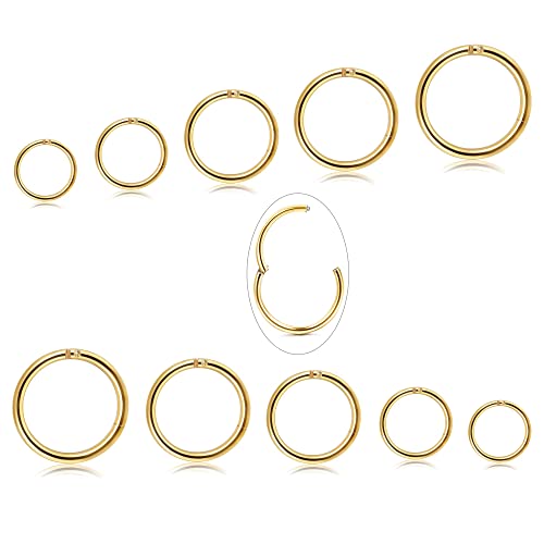 Diamday 10 Stück 6-12mm 316L Stahl Nasenringe Septum Piercing Knorpel Hoops Segmentring Körper Piercing Nase Hoop Lippenringe Helix Ohrringe Für Frauen Männer Gold 16G von Diamday