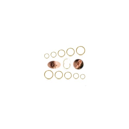 Diamday 10 Stück 6-12mm 316L Stahl Nasenringe Septum Piercing Knorpel Hoops Segmentring Körper Piercing Nase Hoop Lippenringe Helix Ohrringe Für Frauen Männer Gold 16G von Diamday