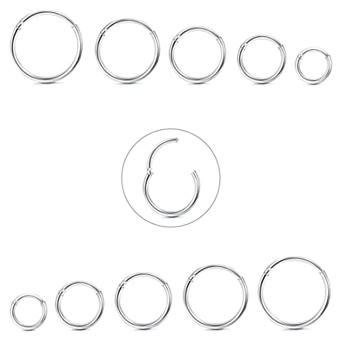 Diamday 10 Stück 6-12mm 316L Stahl Nasenringe Septum Piercing Knorpel Hoops Segmentring Körper Piercing Nase Hoop Lippenringe Helix Ohrringe Für Frauen Männer Silber 16G von Diamday