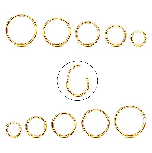 Diamday 10 Stück 6-12mm 316L Stahl Nasenringe Septum Piercing Knorpel Hoops Segmentring Körper Piercing Nase Hoop Lippenringe Helix Ohrringe Für Frauen Männer Gold 18G von Diamday