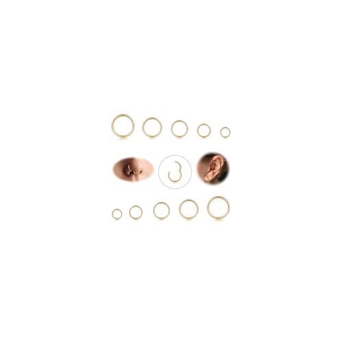 Diamday 10 Stück 6-12mm 316L Stahl Nasenringe Septum Piercing Knorpel Hoops Segmentring Körper Piercing Nase Hoop Lippenringe Helix Ohrringe Für Frauen Männer Gold 18G von Diamday
