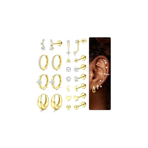 Diamday 11 Pairs Piercing Ohr Helix Piercings Gold Silber Ohrringe für Damen Flache Medizinische Ohrstecker Creolen Ohrringe Ohr Piercing Set Conch Helix Tragus Piercing für Mehrere Ohrlöcher von Diamday