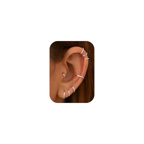 Diamday 16G Nasenpiercing Ring für Damen Herren 316L Chirurgenstahl Nasenringe Hoop Aufklappbares Clicker Segment Lippen Nase Ring Knorpel Hoop Ohrringe Clicker Segmentring Piercing von Diamday