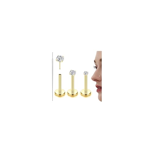 Diamday 3stk G23 Titan Nasenpiercing Helix Piercings 16G 18G 20G Tragus Conch Labret Piercing Lippenpiercing Hypoallergen Piercing Ohr Gold Silber Nasenpiercing Stecker für Damen Herren von Diamday