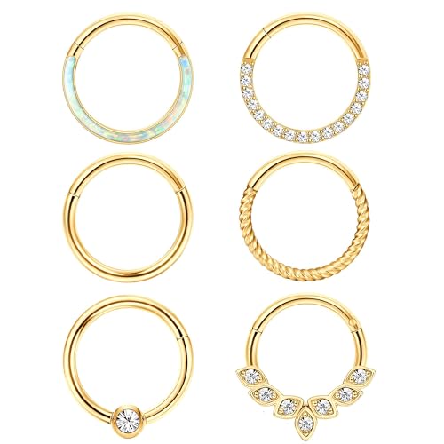 Diamday 6 Stück Nasenpiercing Ring Septum Ring Chirurgenstahl für Damen Herren Helix Tragus Nasenring Ohr Piercing Lippenringe Conch Knorpel Daith Septum Piercing Schmuck 8mm 10mm 16G 18G von Diamday